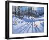 Long tree shadows and skiers, Tignes-Andrew Macara-Framed Giclee Print