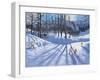 Long tree shadows and skiers, Tignes-Andrew Macara-Framed Giclee Print