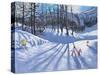 Long tree shadows and skiers, Tignes-Andrew Macara-Stretched Canvas