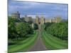 Long Walk from Windsor Castle, Berkshire, England, United Kingdom, Europe-Woolfitt Adam-Mounted Photographic Print