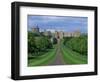 Long Walk from Windsor Castle, Berkshire, England, United Kingdom, Europe-Woolfitt Adam-Framed Photographic Print