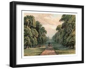 Long Walk, Windsor Park, 1880-F Jones-Framed Giclee Print