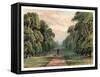 Long Walk, Windsor Park, 1880-F Jones-Framed Stretched Canvas