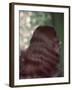 Long Wavy Hair-Charles Woof-Framed Photographic Print