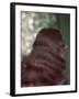 Long Wavy Hair-Charles Woof-Framed Photographic Print