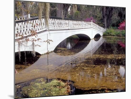 Long White Bridge over Pond, Magnolia Plantation and Gardens, Charleston, South Carolina, USA-Julie Eggers-Mounted Photographic Print