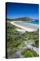 Long Wide Sandy Beach in the Wilsons Promontory National Park, Victoria, Australia, Pacific-Michael Runkel-Stretched Canvas