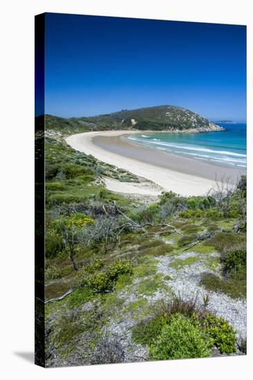 Long Wide Sandy Beach in the Wilsons Promontory National Park, Victoria, Australia, Pacific-Michael Runkel-Stretched Canvas
