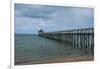 Long Wooden Pier, Coral Coast, Viti Levu, Fiji, South Pacific-Michael Runkel-Framed Premium Photographic Print