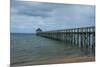 Long Wooden Pier, Coral Coast, Viti Levu, Fiji, South Pacific-Michael Runkel-Mounted Premium Photographic Print