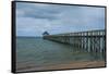 Long Wooden Pier, Coral Coast, Viti Levu, Fiji, South Pacific-Michael Runkel-Framed Stretched Canvas