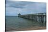 Long Wooden Pier, Coral Coast, Viti Levu, Fiji, South Pacific-Michael Runkel-Stretched Canvas