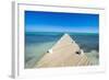 Long wooden pier in the turquoise waters of Providenciales, Turks and Caicos, Caribbean-Michael Runkel-Framed Photographic Print