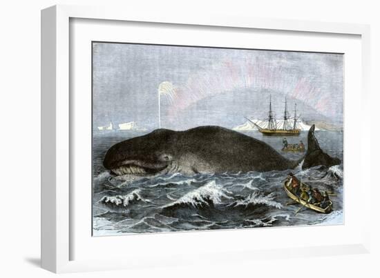 Longboat Crew Attacking a Whale with Hand Harpoons in the Arctic, c.1800-null-Framed Giclee Print