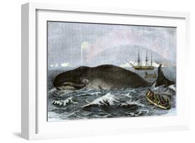 Longboat Crew Attacking a Whale with Hand Harpoons in the Arctic, c.1800-null-Framed Giclee Print