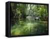 Longboats Moored in Creek Amid Rain Forest, Island of Borneo, Malaysia-Richard Ashworth-Framed Stretched Canvas