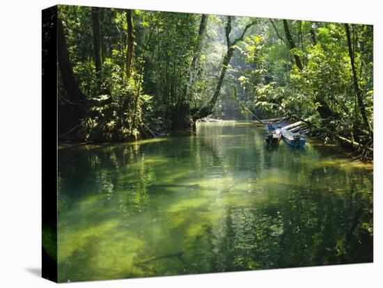 Longboats Moored in Creek Amid Rain Forest, Island of Borneo, Malaysia-Richard Ashworth-Stretched Canvas
