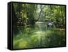 Longboats Moored in Creek Amid Rain Forest, Island of Borneo, Malaysia-Richard Ashworth-Framed Stretched Canvas