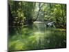 Longboats Moored in Creek Amid Rain Forest, Island of Borneo, Malaysia-Richard Ashworth-Mounted Photographic Print