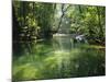 Longboats Moored in Creek Amid Rain Forest, Island of Borneo, Malaysia-Richard Ashworth-Mounted Photographic Print