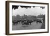 Longchamp Racecourse Transformed into a Cattle Enclosure, Near the Mill of Longchamp, Paris, 1914-Jacques Moreau-Framed Photographic Print