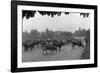 Longchamp Racecourse Transformed into a Cattle Enclosure, Near the Mill of Longchamp, Paris, 1914-Jacques Moreau-Framed Photographic Print