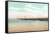 Longest Wooden Bridge, Hampton Beach, New Hampshire-null-Framed Stretched Canvas