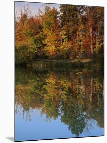 Longford Lake, Fairfax County, Virginia, USA-Charles Gurche-Mounted Premium Photographic Print