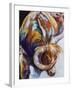 Longhorn Abstract-Marcia Baldwin-Framed Giclee Print