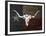 Longhorn Art with Flag-Design Turnpike-Framed Giclee Print