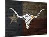 Longhorn Art with Flag-Design Turnpike-Mounted Giclee Print