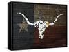 Longhorn Art with Flag-Design Turnpike-Framed Stretched Canvas