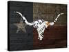 Longhorn Art with Flag-Design Turnpike-Stretched Canvas