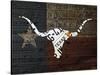 Longhorn Art with Flag-Design Turnpike-Stretched Canvas