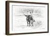 Longhorn & Baby-David Drost-Framed Photographic Print