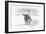 Longhorn & Baby-David Drost-Framed Photographic Print