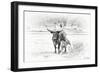 Longhorn & Baby-David Drost-Framed Photographic Print