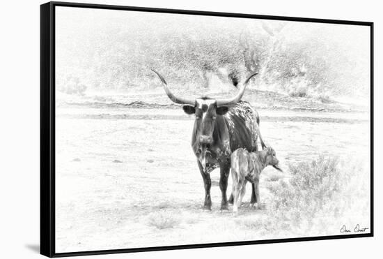 Longhorn & Baby-David Drost-Framed Stretched Canvas