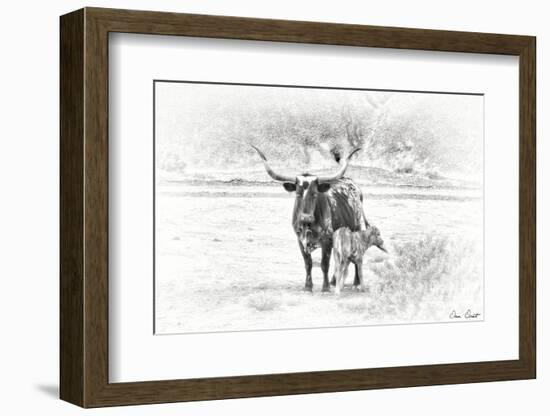 Longhorn & Baby-David Drost-Framed Photographic Print