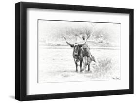 Longhorn & Baby-David Drost-Framed Photographic Print