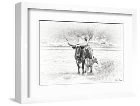 Longhorn & Baby-David Drost-Framed Photographic Print