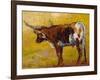 Longhorn back Portrait-Marion Rose-Framed Giclee Print