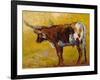 Longhorn back Portrait-Marion Rose-Framed Giclee Print