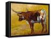 Longhorn back Portrait-Marion Rose-Framed Stretched Canvas