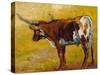 Longhorn back Portrait-Marion Rose-Stretched Canvas