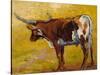 Longhorn back Portrait-Marion Rose-Stretched Canvas