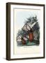 Longhorn Beetle, 1863-79-Raimundo Petraroja-Framed Giclee Print