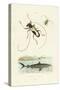 Longhorn Beetles, 1833-39-null-Stretched Canvas