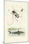Longhorn Beetles, 1833-39-null-Mounted Giclee Print