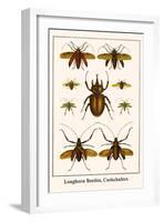 Longhorn Beetles, Cockchafers-Albertus Seba-Framed Art Print
